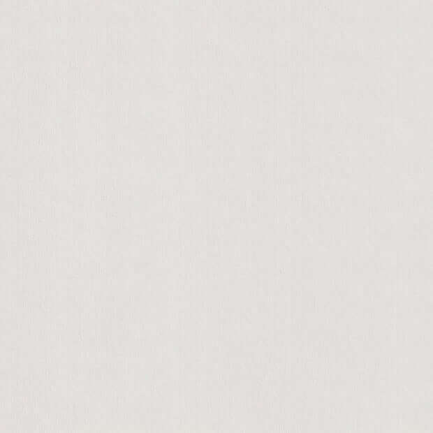 Pale Grey Colorplan Cardstock