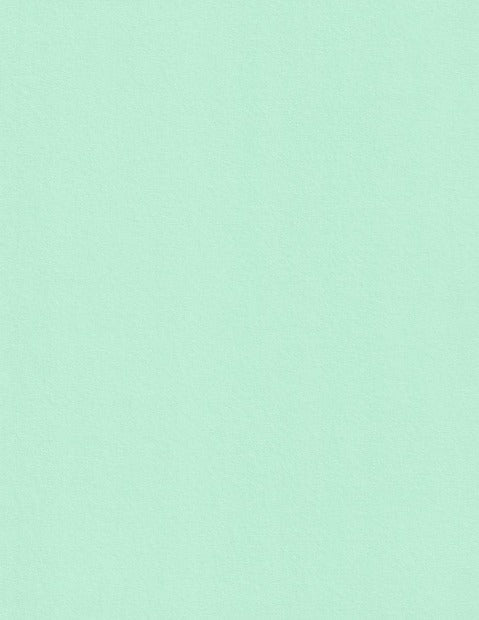Park Green Colorplan Cardstock