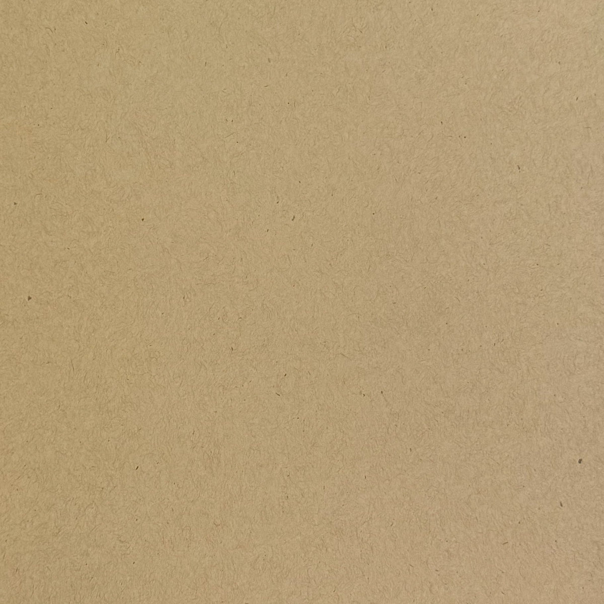 Paper Bag Kraft Cardstock