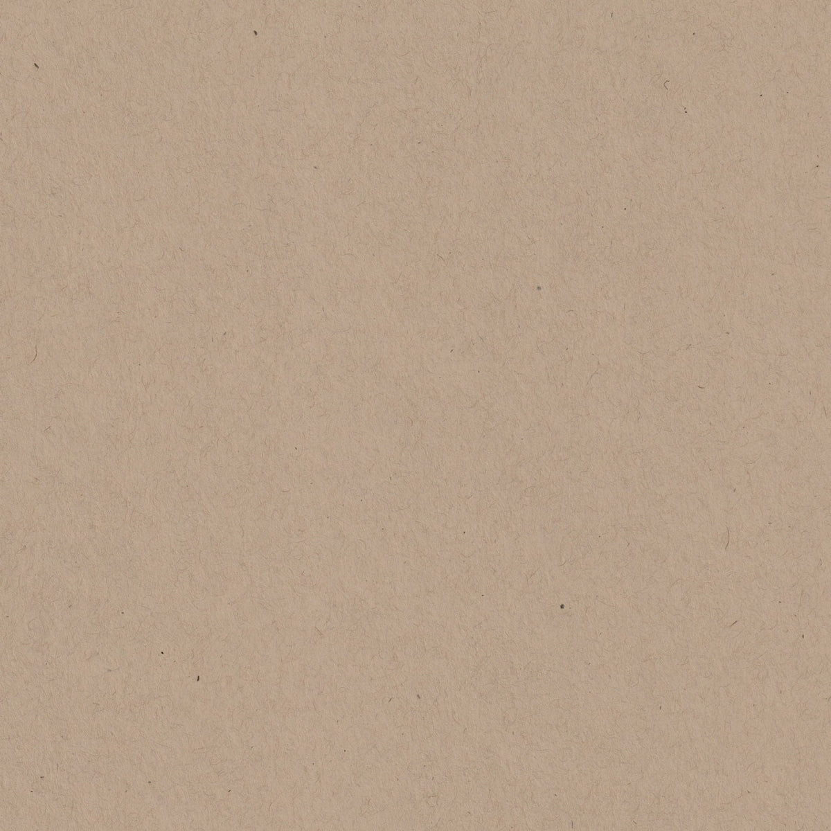 Kraft Speckletone 12x12