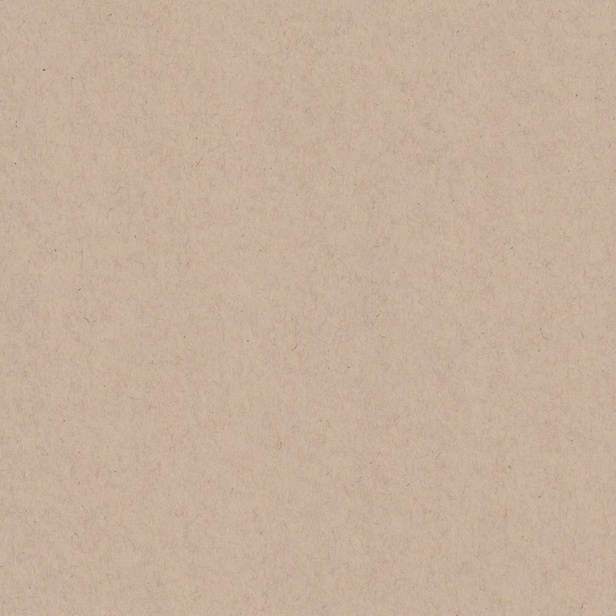 Oatmeal Speckletone 12x12