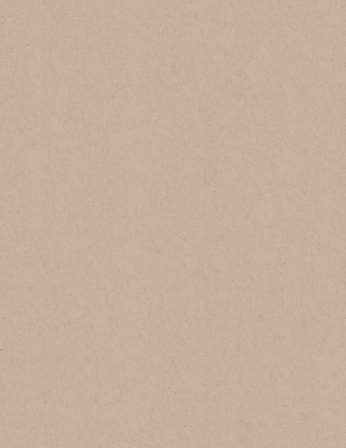 Oatmeal Speckletone 8.5x11