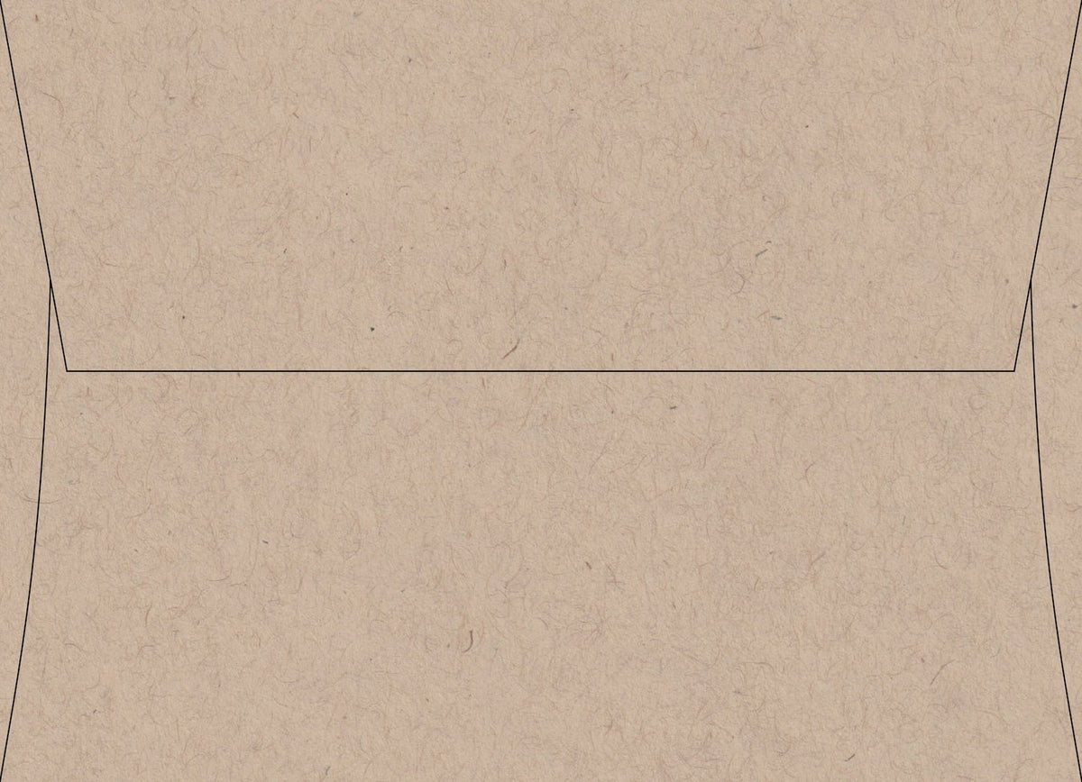 Oatmeal Speckletone envelope