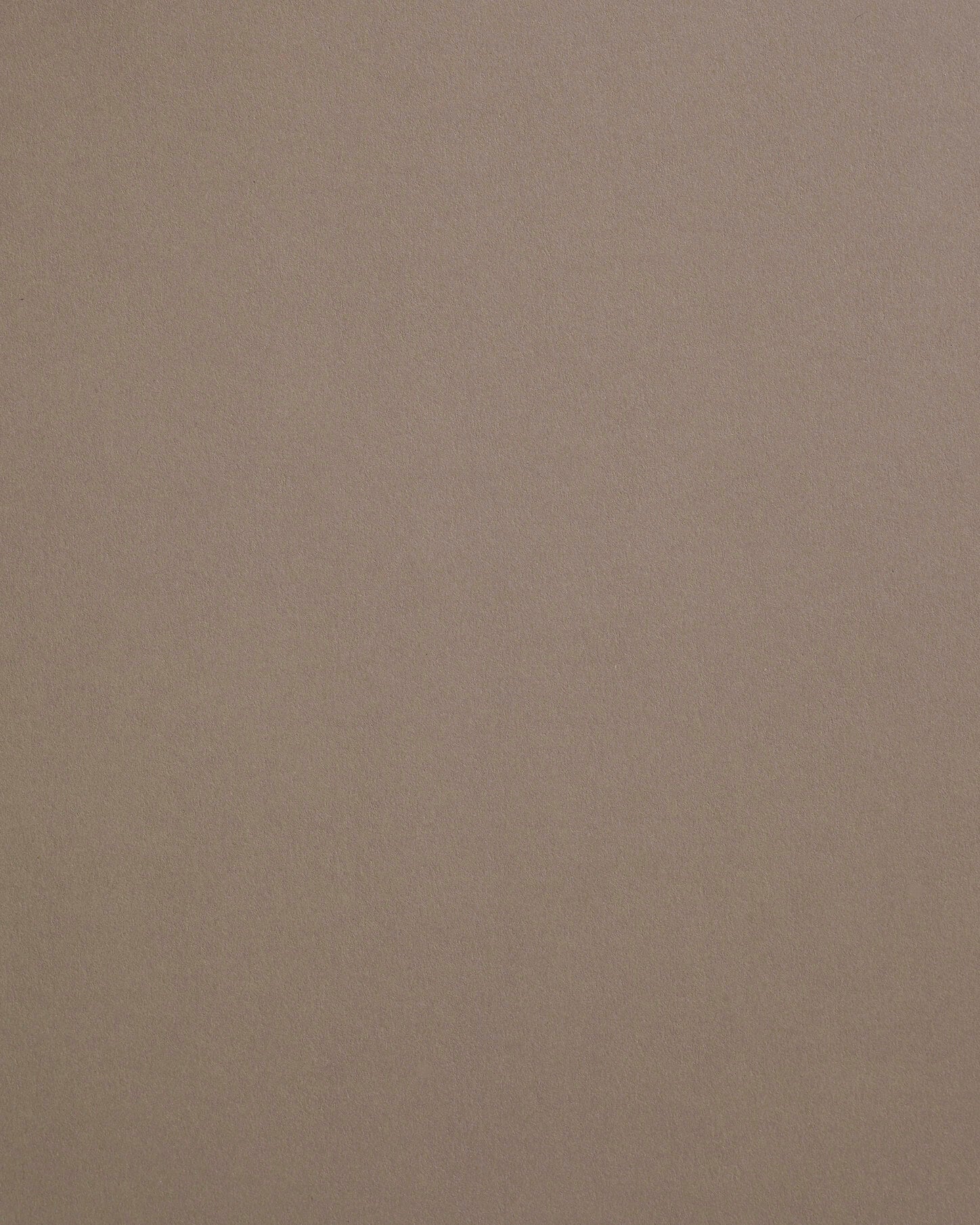 12 x 12 Paper - Nude Beige (250 Qty.) : : Office Products
