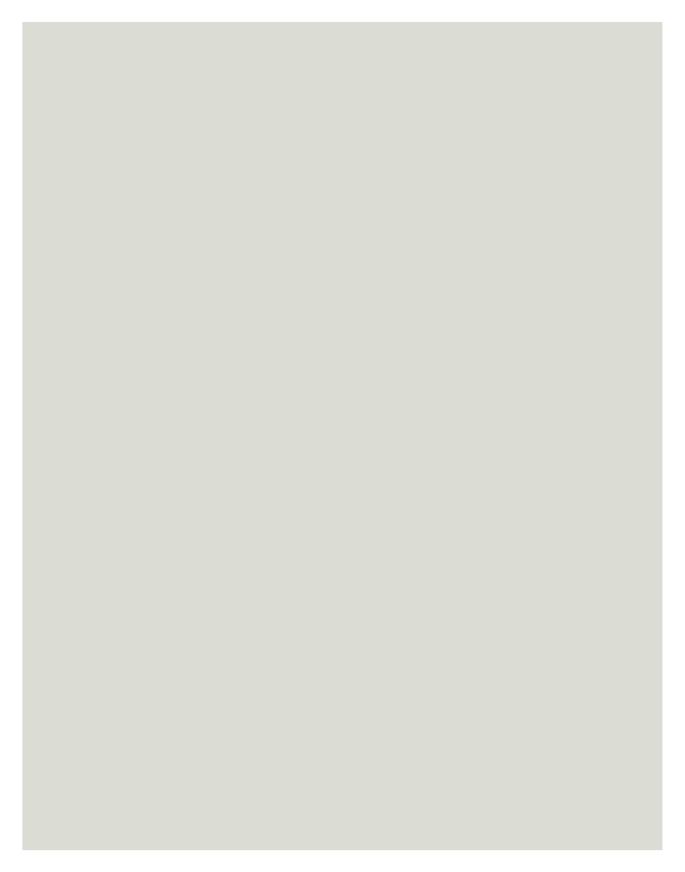 Pashmina-8511_Pashmina-Cardstock Warehouse