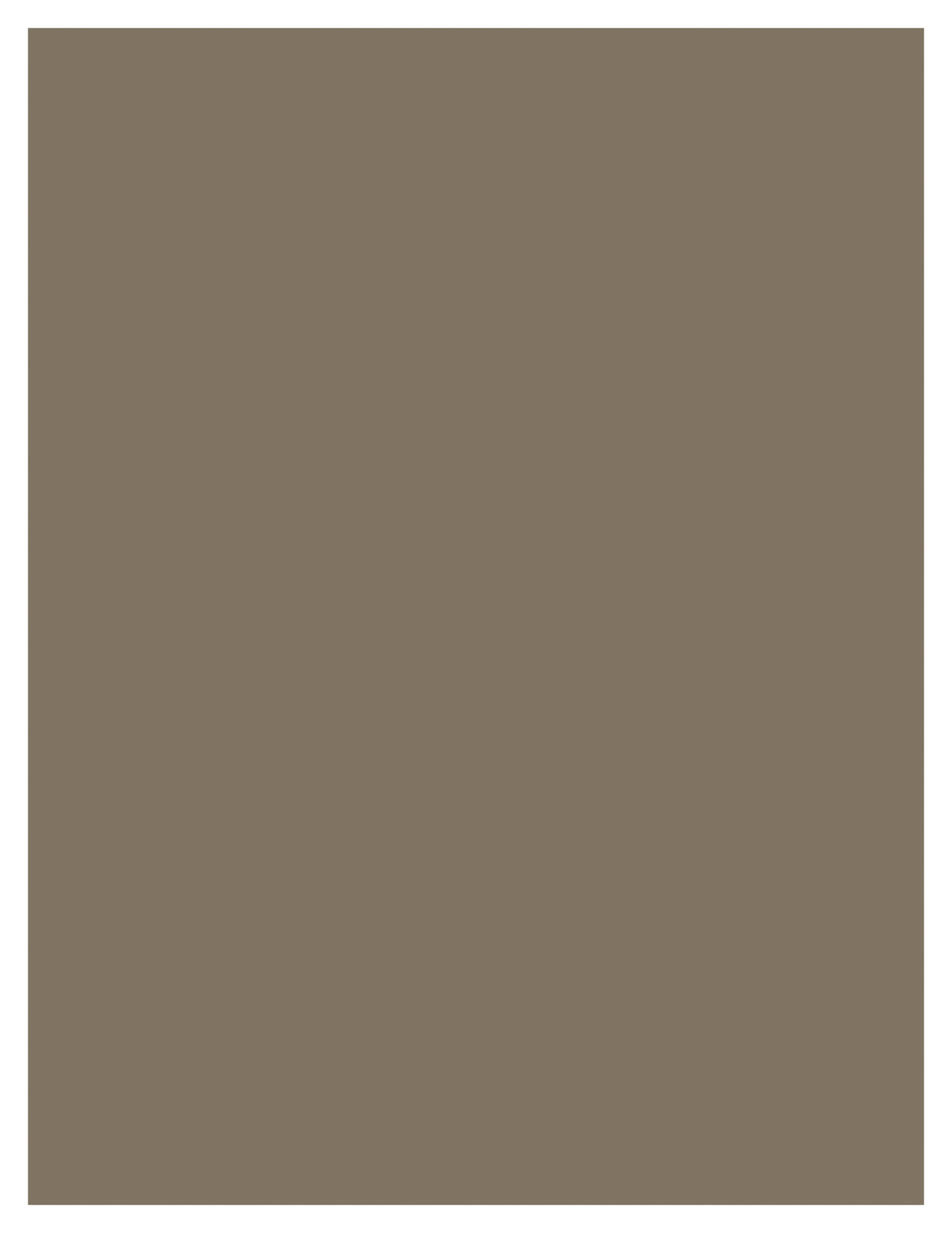 Shitake-8511_Shitake-Cardstock Warehouse