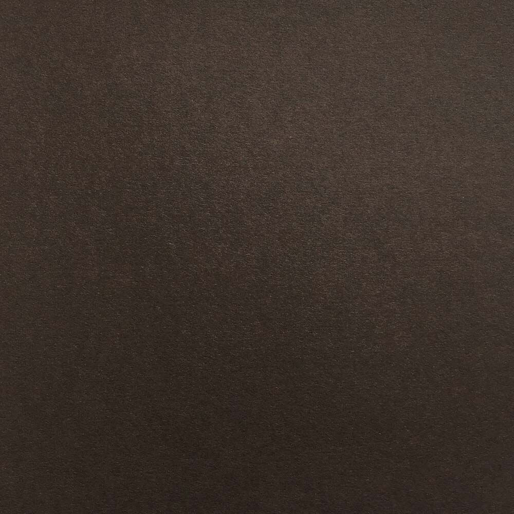 Bitter Chocolate  | Colorplan Cardstock