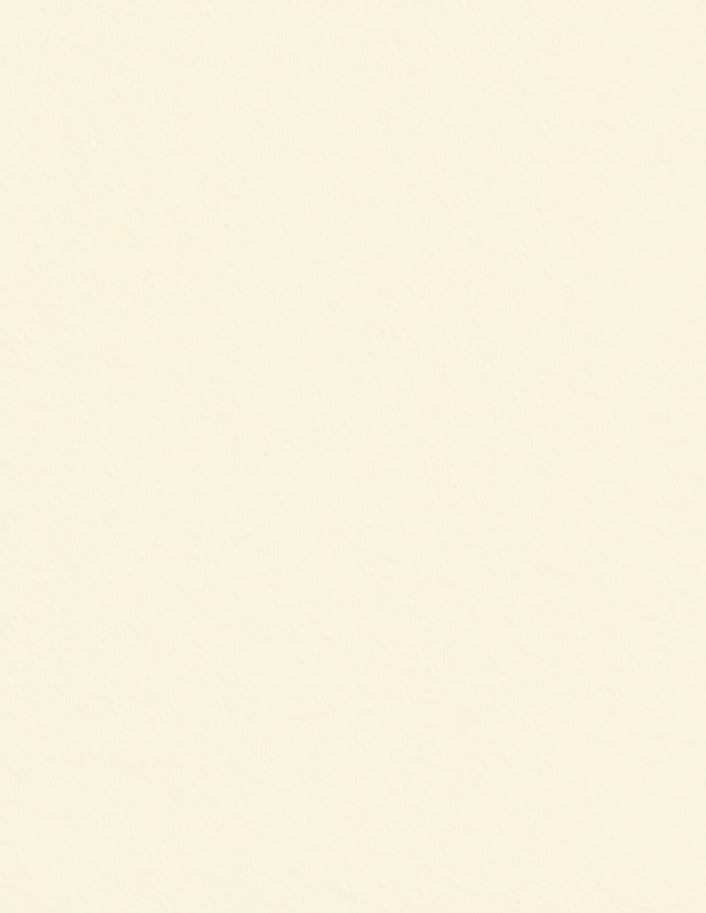 Colorplan China White Cardstock