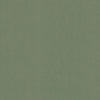 Mid Green Colorplan Cardstock