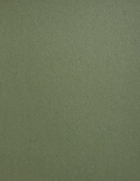 Colrorplan Mid-Green Cardstock