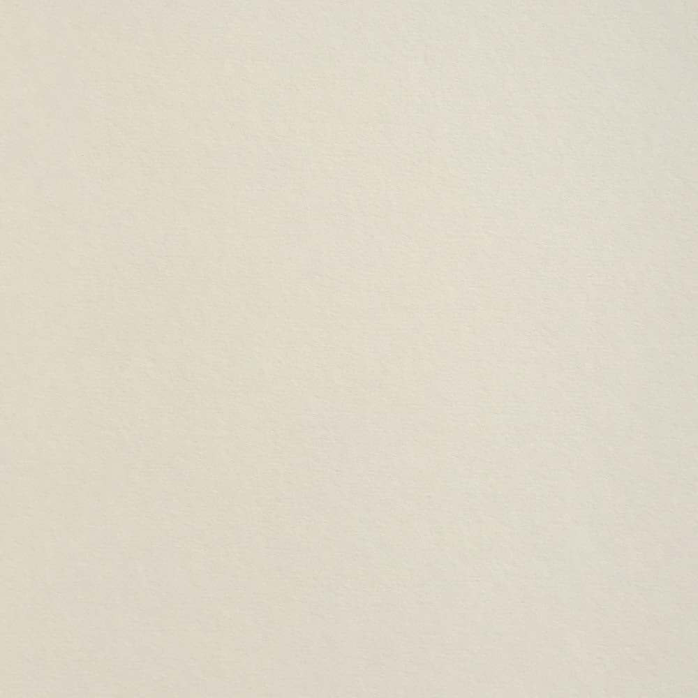 Mist Colorplan Cardstock