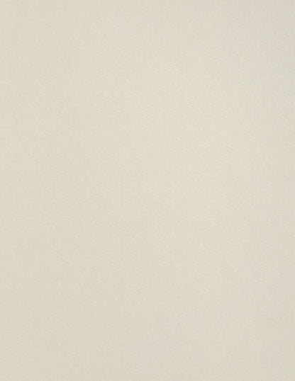 Mist Colorplan Cardstock
