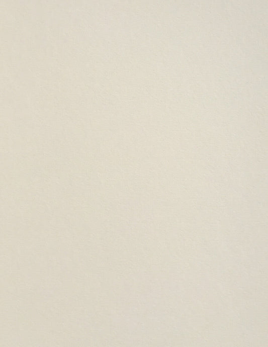 Mist Colorplan Cardstock