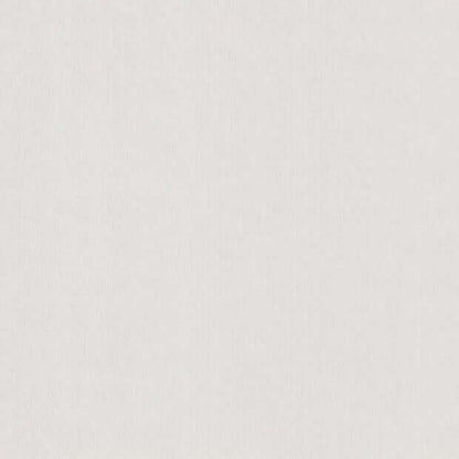 Pale Grey Colorplan Cardstock