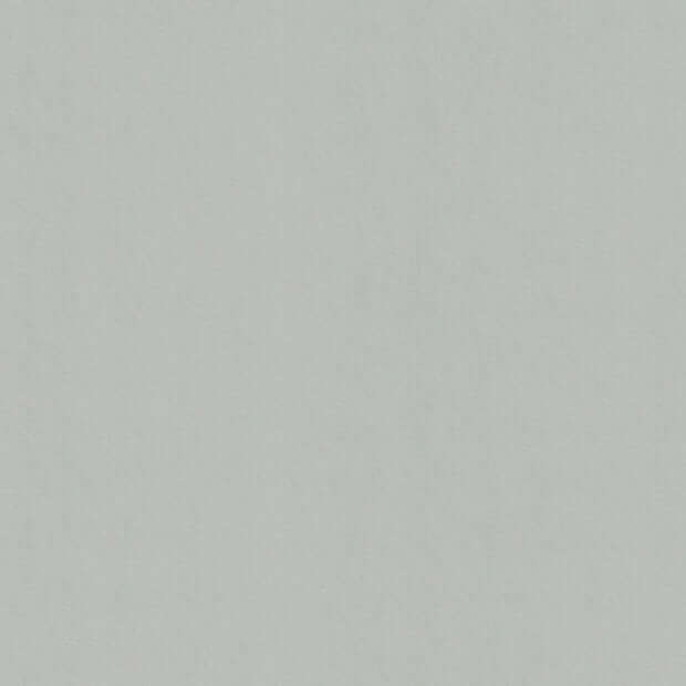 Real Grey Colorplan Cardstock