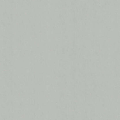 Real Grey Colorplan Cardstock