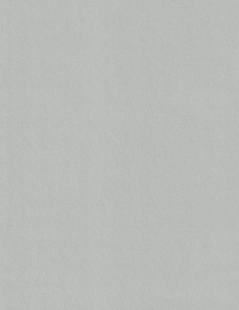 Real Grey Colorplan Cardstock