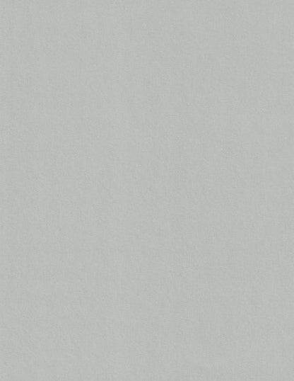 Real Grey Colorplan Cardstock