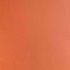 Rust Colorplan Cardstock