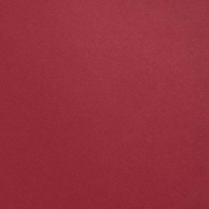 Scarlet Red Colorplan Cardstock