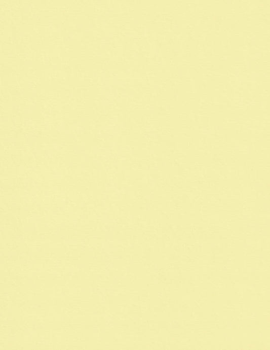 Sorbet Yellow-Cardstock Warehouse