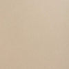 Stone Colorplan Cardstock