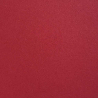 Vermillion Colorplan Cardstock