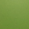 Gumdrop Green Pop-Tone | Solid-Core Cardstock Paper | Flat Shipping