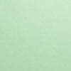 PTspearmint1212-Cardstock Warehouse