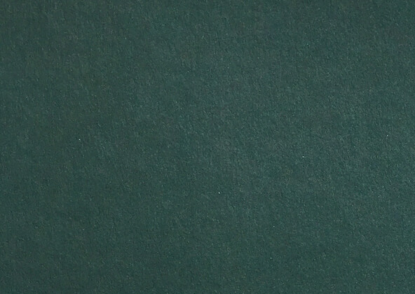 Colorplan Racing Green Flat Place Cards