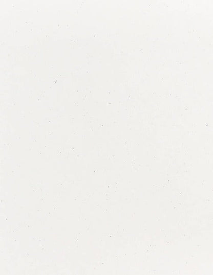True White Speckletone Cardstock