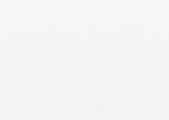 Speckletone Starch White Flat Place Cards-Starch_White_Flat_Card-Cardstock Warehouse