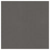 Rhino-Cardstock Warehouse