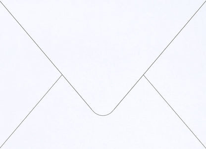 White Frost Colorplan Euro Envelopes