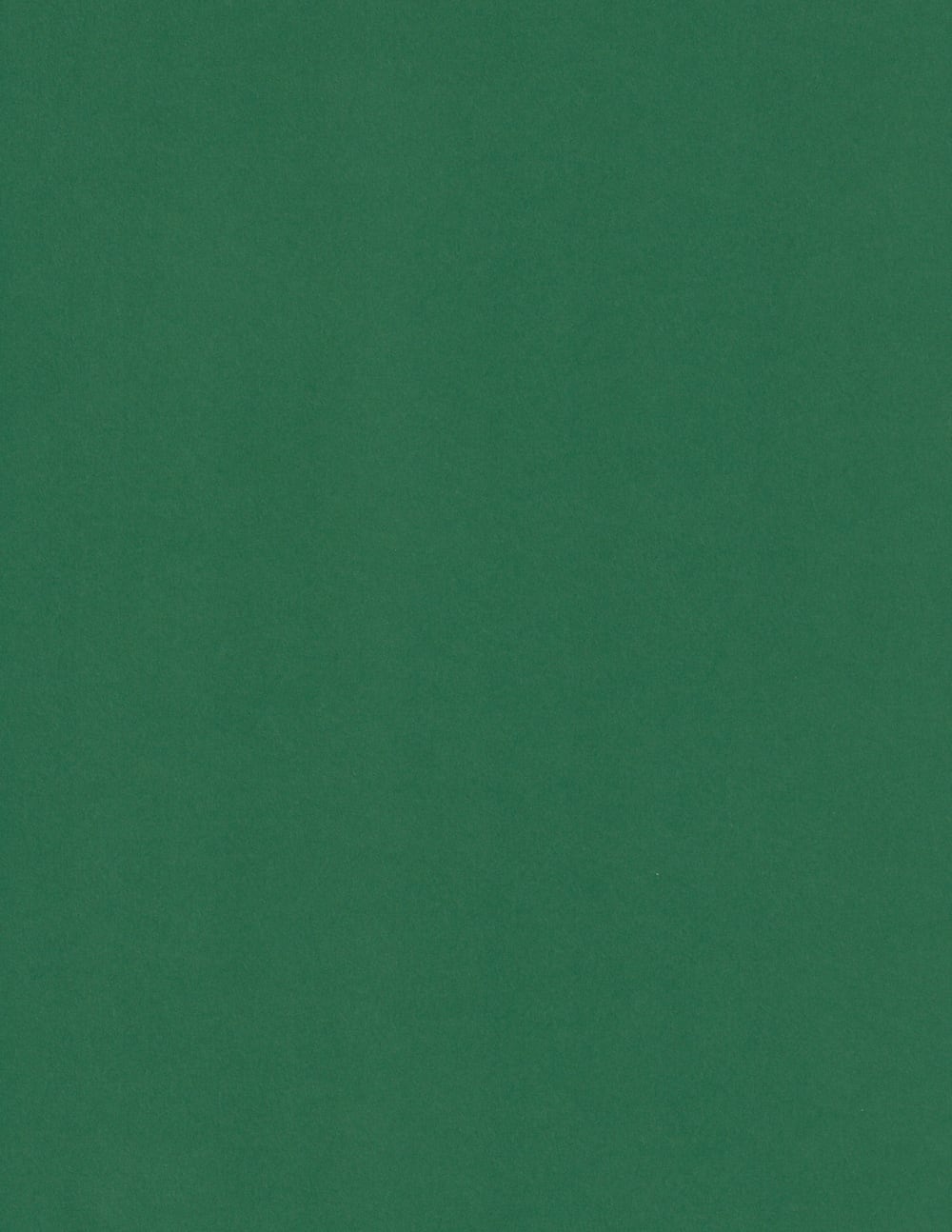 Lessebo Evergreen (Christmas) Cardstock .5 x 11