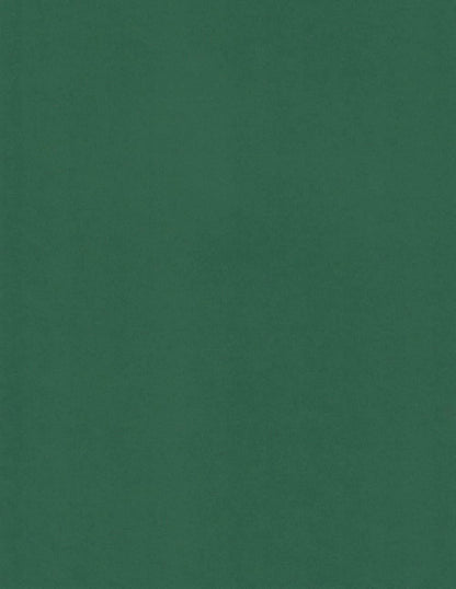 Foglia Sirio | Green Colored Cardstock Paper