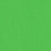 Kelly Green-Cardstock Warehouse