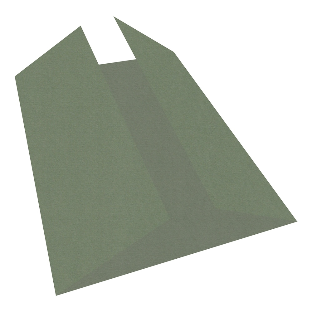 Colorplan Mid-Green Gate Fold Cards 