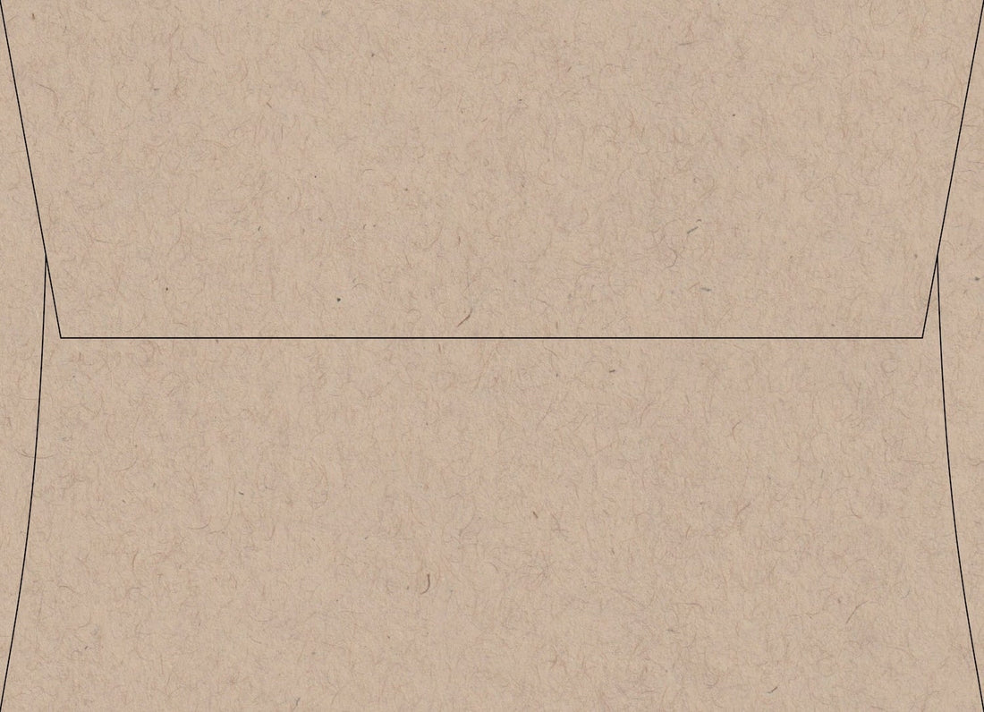 Oatmeal Speckletone envelope