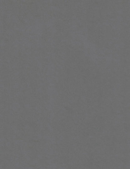 Pietra Sirio | Gray Colored Cardstock Paper