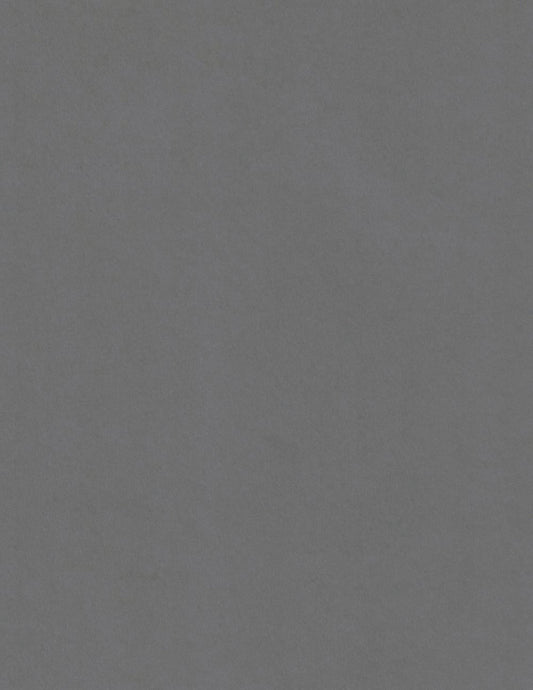 Pietra Sirio | Gray Colored Cardstock Paper