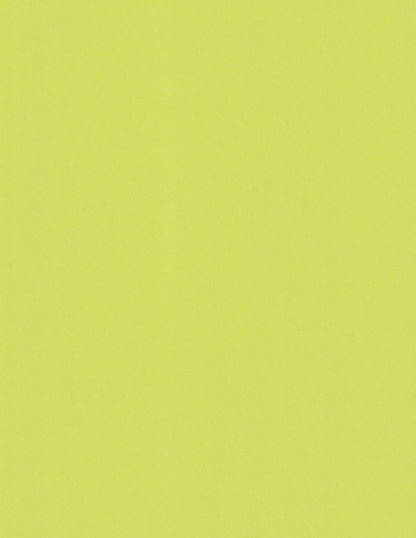 Pistacchio | Woodstock Cardstock Paper