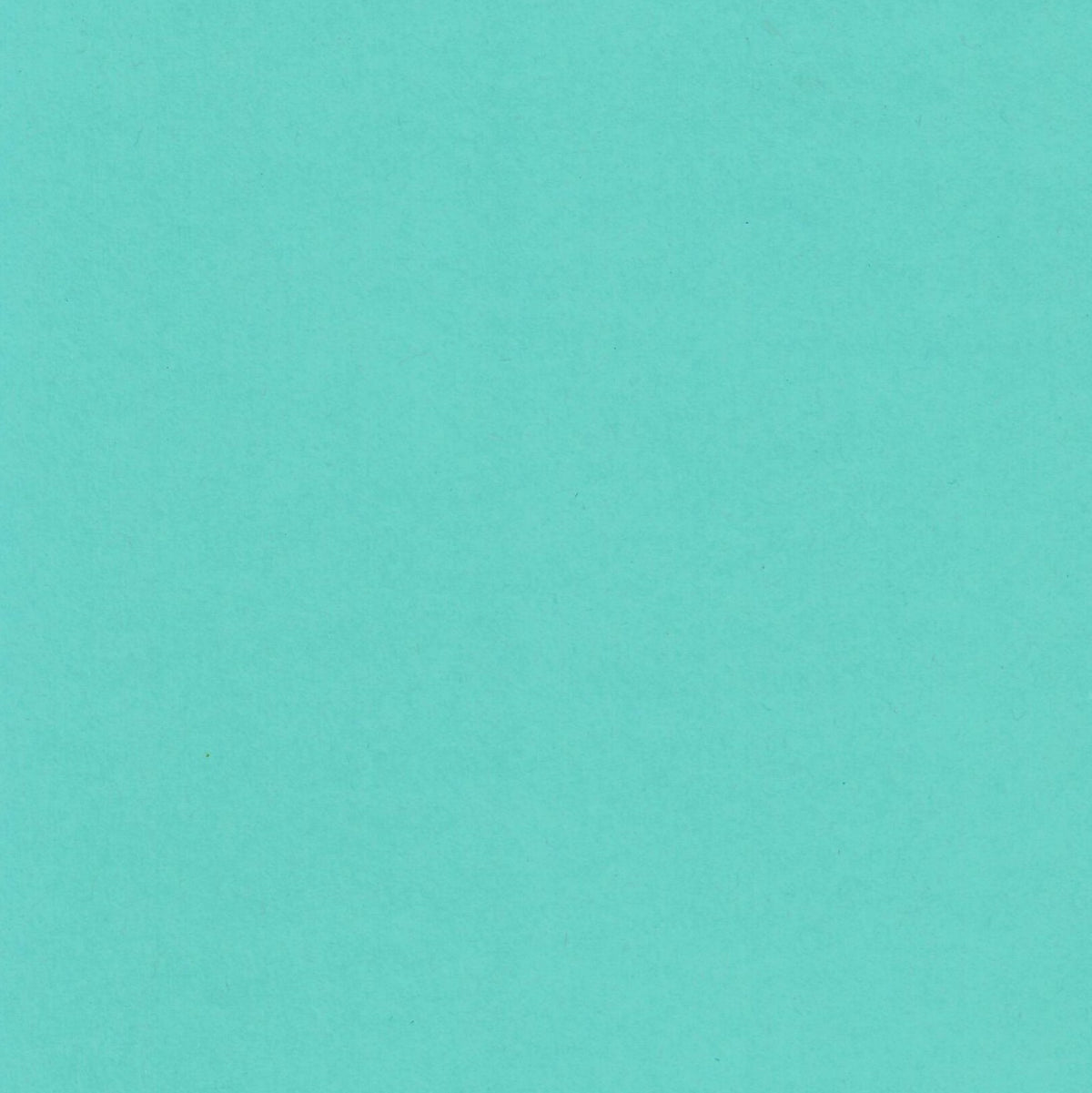 Blu Raspberry-Cardstock Warehouse